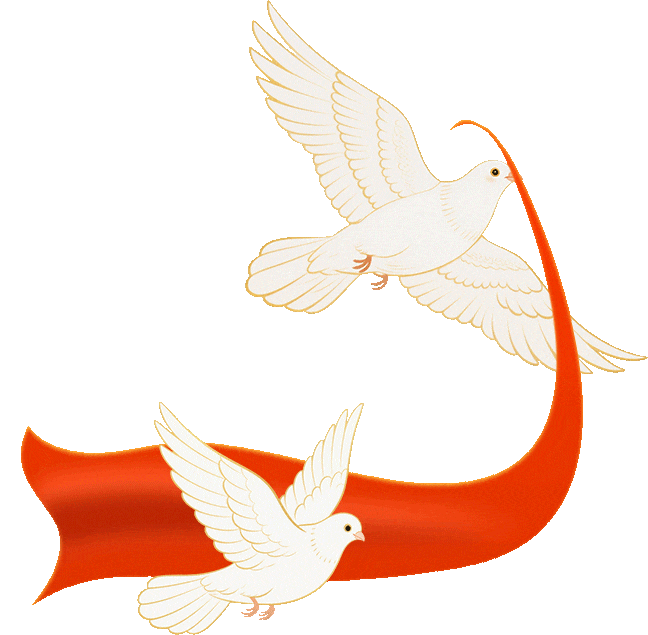 微信图片_2026-02-26_163428_049.jpg 微信图片_2026-02-26_163428_049.jpg