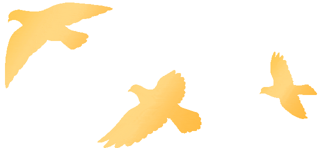 微信图片_2026-03-16_094208_563.jpg 微信图片_2026-03-16_094208_563.jpg