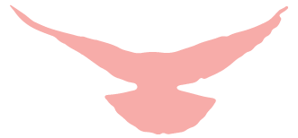 微信图片_2026-06-27_084123_610.png