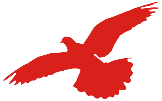 微信图片_2026-06-27_084121_637.png