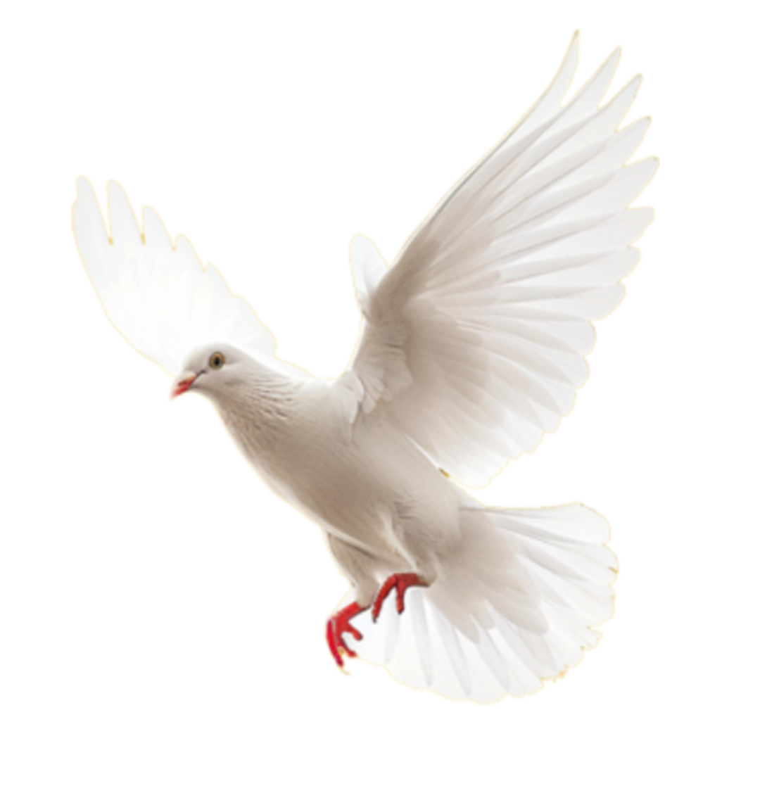 微信图片_2026-07-01_090814_188.png