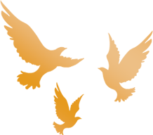 微信图片_2026-07-02_095329_341.png 微信图片_2026-07-02_095329_341.png