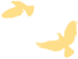 微信图片_2026-08-28_084004_056.png